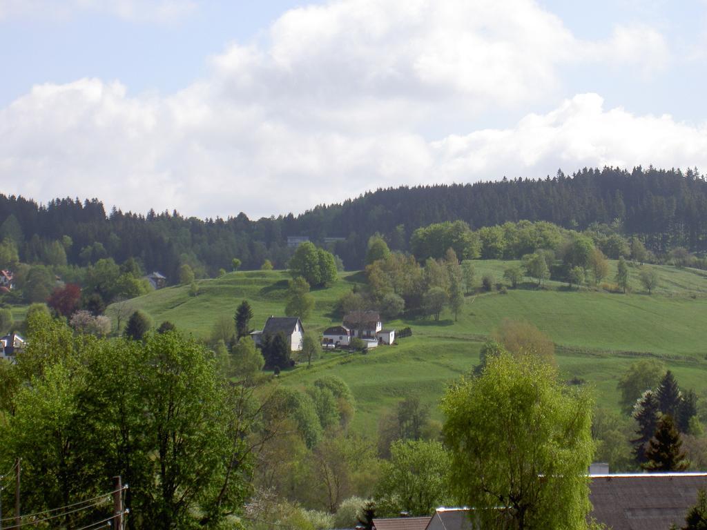 Gasthof 'Zum Reifberg' Ильменау Номер фото